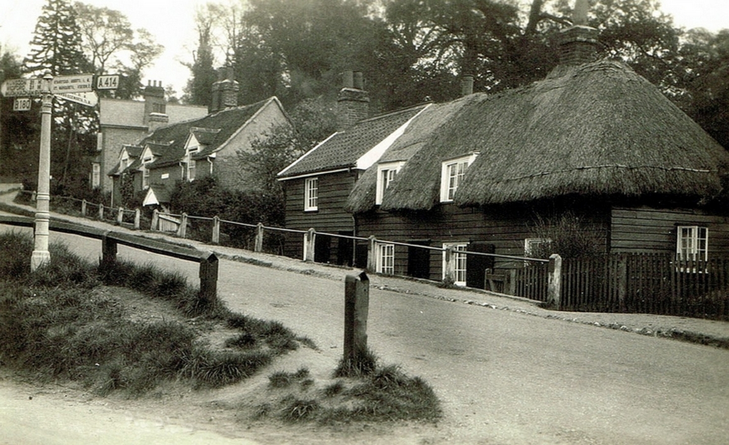 Cats Hill 5