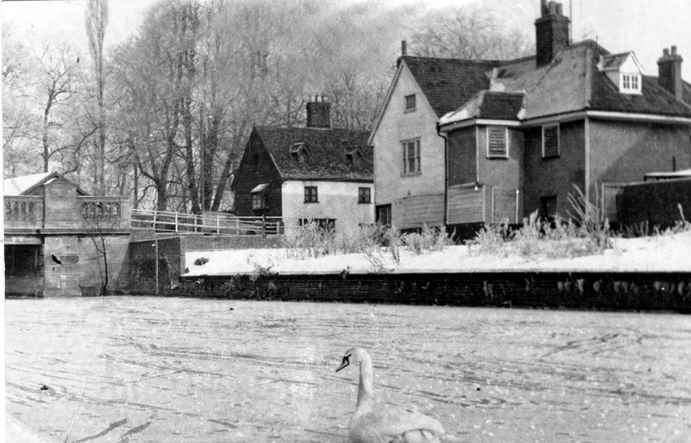 Lea Frozen 1963