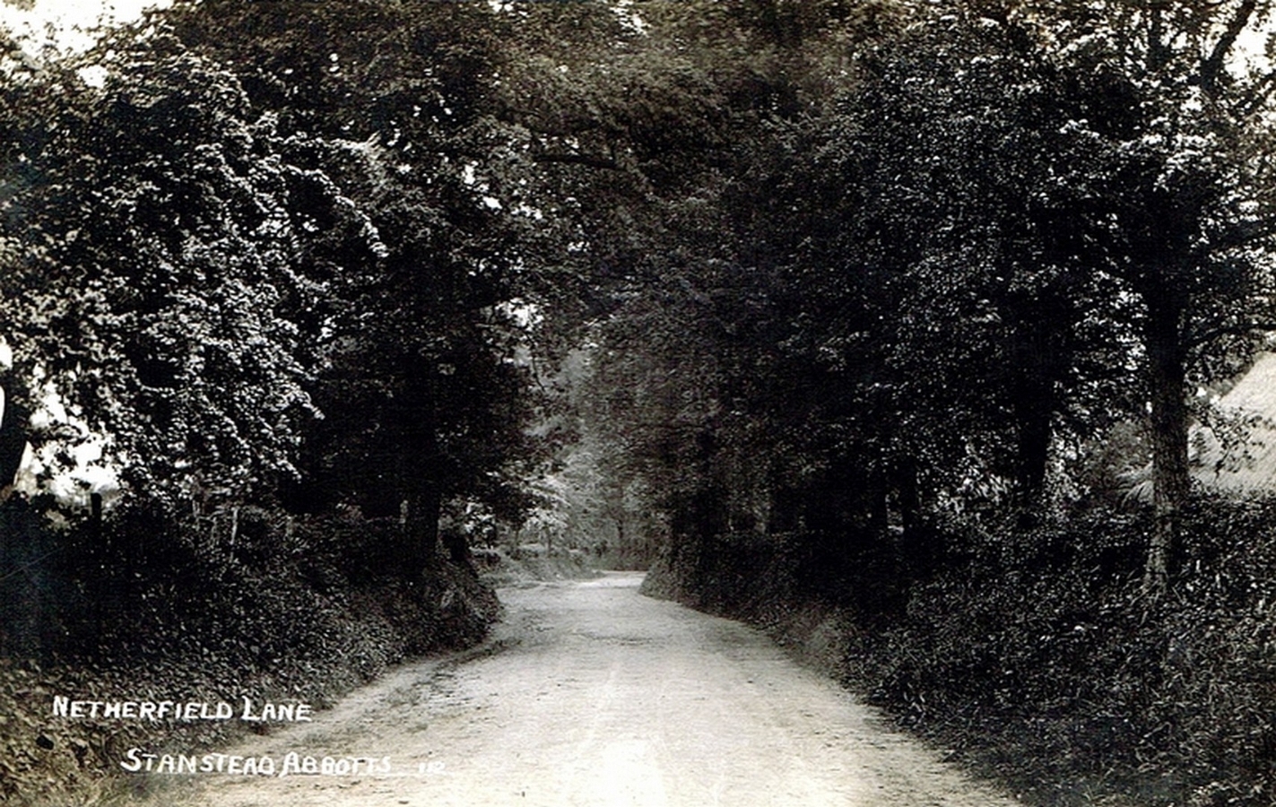Netherfield lane