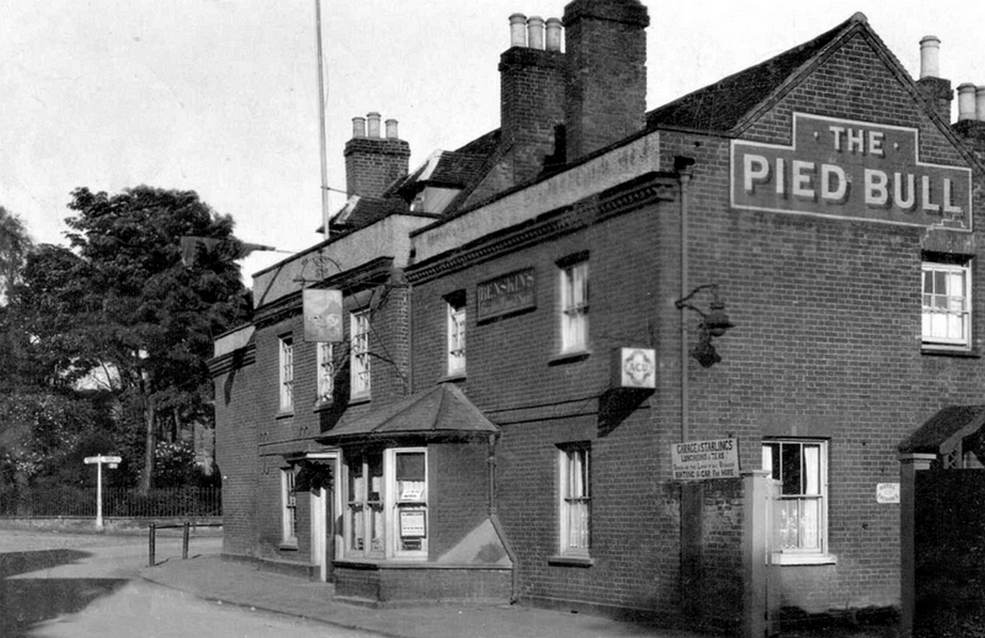 PiedBull1926