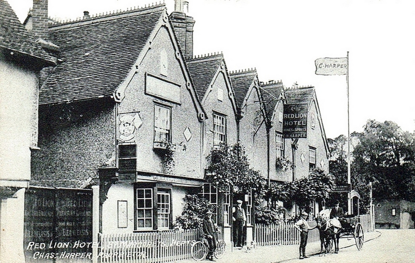 Red Lion 3
