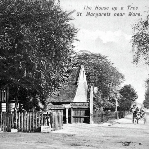 Crown 1908