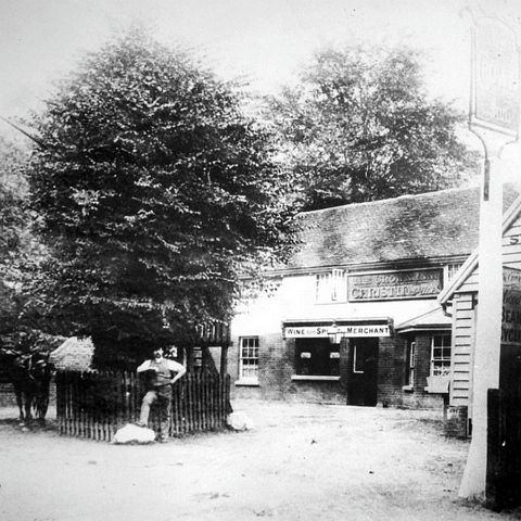 Crown 2 1908