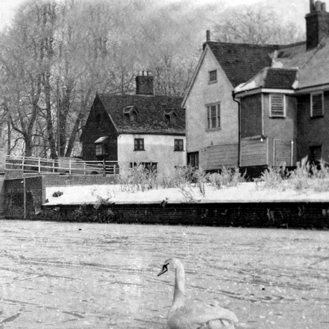 Lea Frozen 1963