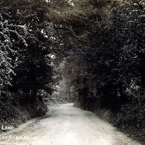 Netherfield lane