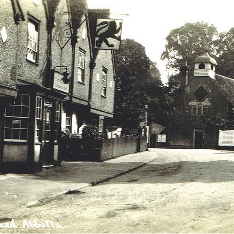 Red Lion (2)