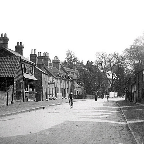 Roydon Road 3
