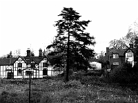 The cottages in Kitten Lane, viewed from the Hunsdon Road. This view is now obscured by the trees and bushes that had just been planted. Photo 1975.