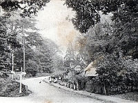 Cats Hill. Postcard unmarked but posted Aug 1906.