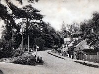 Cats Hill. Postcard by "The Post Office" Stanstead Abbotts. The Vulcan series, undated but postage stamp shows 1921.