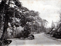 Cats Hill. Postcard from the "Hatfield Series", No: 65. Posted 1905. The address just states Miss Renwick, St. Margarets. Who needs a postcode!