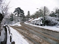 Cats Hill, February 2009.