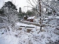 Cats Hill. Photo February 2009.