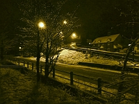 Cats Hill, Jan 2010.