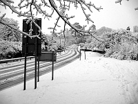 Cats Hill, Jan 2010.