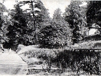 Hunsdon Road, Stanstead Abbotts. Postcard "The Hatfield Series". Postal date Sep 1906.