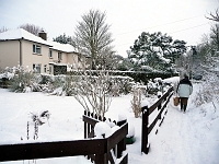 Thele Avenue, stanstead Abbotts. Photo Feb 2010.
