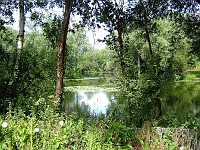 The "Pretty Lake", Marsh Lane. Originally the "Washer Pit" for St Albans Sand and Gravel Co. So called because the gravel washing equipment stood adjacent to the pit. Stocked by the Abbotts Angling Society the lake later became part of Leisure Sport Ltd and is now under the care of Ware Angling Club. Photo 2009.
