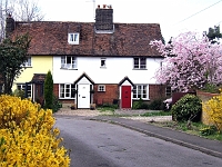 Cottages Roydon Road. The cottages have been here for years but the access road is relatively modern. I don't know where the original access was but I have a recollection that it was through the Queens Head Car park. Any information welcome. Photo 2006.