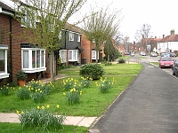 Roydon Road, Photo 2006