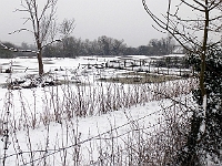 Richard Atkins field, Marsh Lane. January 2013