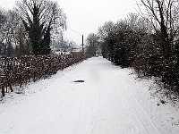 Marsh Lane towards Roydon Road.  January 2013
