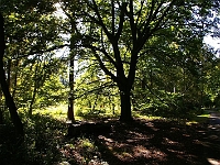 Footpath through Easneye. Photo 2007.