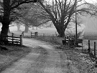 Easneye Estate footpath. 1985