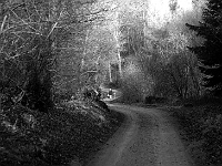 The footpath through Easneye towards Waters Place near Wareside. Photo 1987
