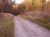 The footpath through Easneye towards Waters Place. Photo December 2012