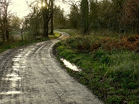 Easneye footpath towards Stanstead Abbotts. December 2012