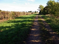 Easneye footpath. Photo 2007.
