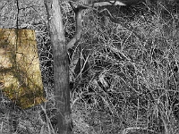 All that remains of the old bridge that crossed over the top of the old Saxon Road in Easneye. Photo December 2012