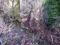 The old Saxon Road through Easneye. Photo December 2012