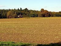 View across Easneye towards North Lodge. Photo 2007.