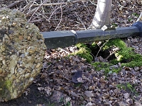 Gate post to the old Easneye gate. Now sadly neglected and forgotten. December 2012