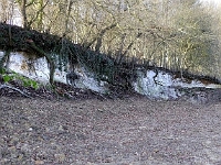 The Lime Quarry, Easneye. December 2012