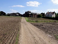 Little Briggens farm. 2010
