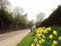 Cappel Lane, stanstead Abbotts. Photo 2005.
