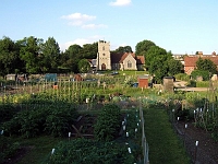 Saint Andrews and the allotments. Photo 2007.