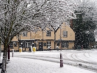 Red Lion. Jan 2010