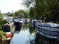 The Marina, South Street, Stanstead Abbotts. The Mill Stream looking towards the Maltings. Photo May 2010.