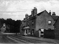 Pied Bull Pre 1918.
