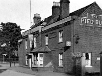Pied Bull 1926.