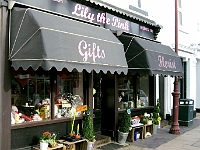 Lily the Pink. 19 High Street
