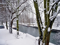 River Lea, Stanstead Abbotts. Photo Feb 2010.