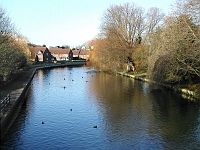 River Lea towards Ware, Photo 2005