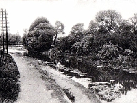 River Lea towards Ware from Stanstead Abbotts Bridge. Postcard part of "The Vulcan" series by Stanstead Abbotts Post Office. Posted August 1925.