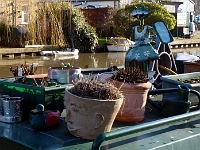 Boat roof top garden. Jan 2011