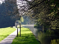 Sunny day along the New River at Amwell. April 2011